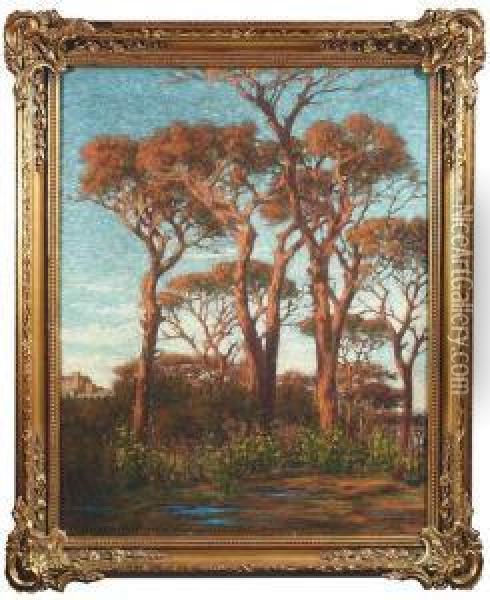 Gerolamo . Summery Landscape With Italian Stone Pines And Gorse Oil Painting - Girolamo Cairati