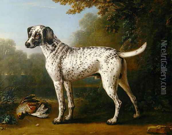 Grey spotted hound, 1738 Oil Painting - John Wootton