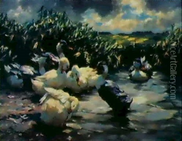 Sieben Enten Im Schilfwasser Oil Painting - Alexander Max Koester