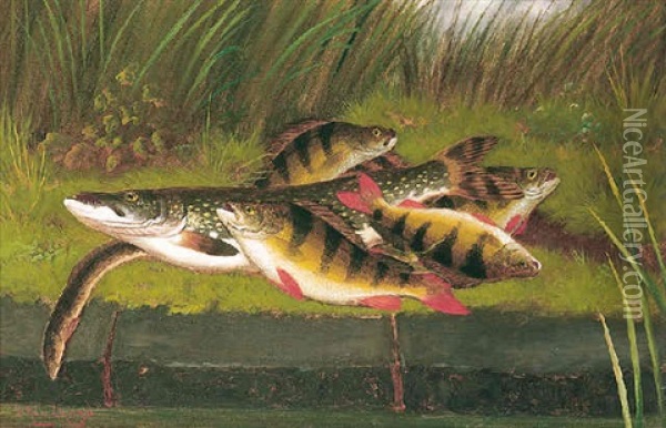 Perch And Pike Oil Painting - A. Roland Knight
