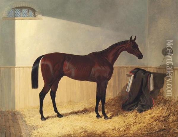 G.w. Gratwicke's Bay Colt Oil Painting - John Frederick Herring Snr