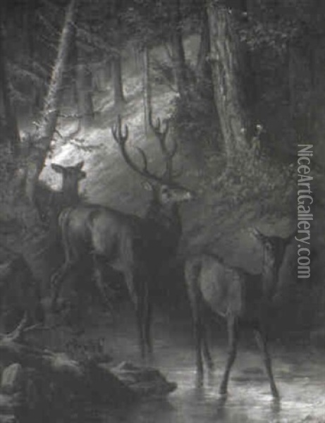 Deer In A Forest Glade At Water's Edge Oil Painting - Edouard Ender