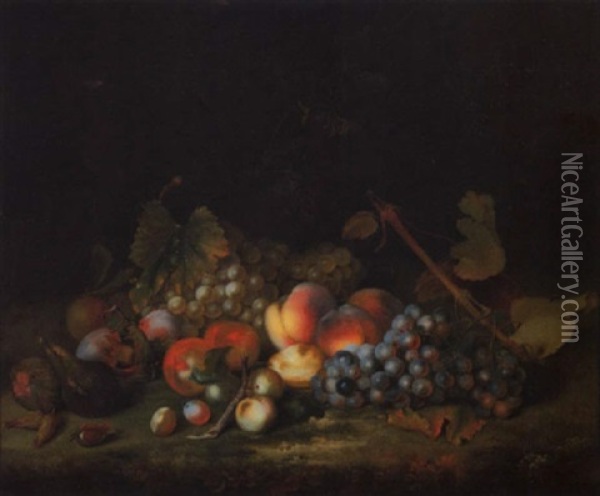 Stilleben Mit Weintrauben, Pfirsichen, Pflaumen Und Feigen Oil Painting - William Smith