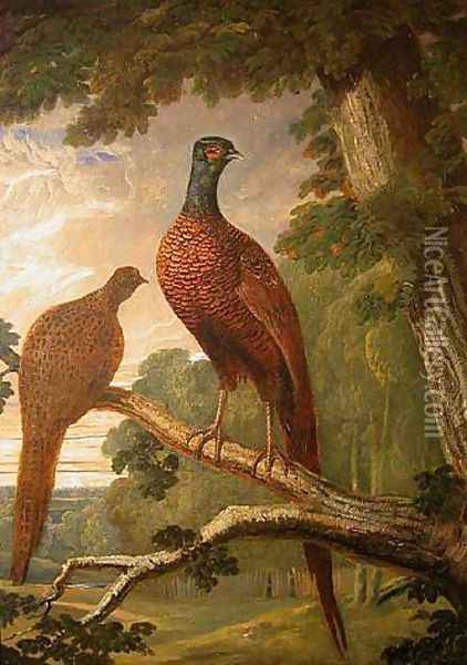 Cock and Hen Pheasant on a Roost Oil Painting - John Frederick Herring Snr