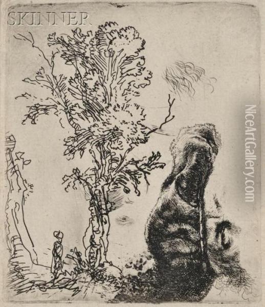 A Tree, And The Upper Part Of A Headof The Artist 
Wearing A Velvet Cap Oil Painting - Rembrandt Van Rijn