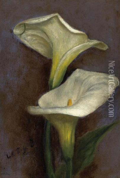 Calla Lilies Oil Painting - Louis Comfort Tiffany