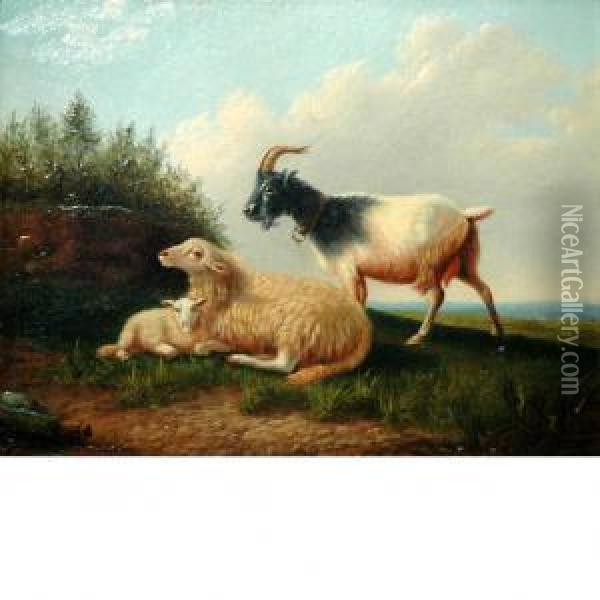 Goats In A Pasture Oil Painting - Howard Hill