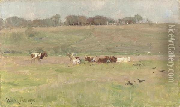 Cattle In A Meadow Oil Painting - Walter Frederick Osborne