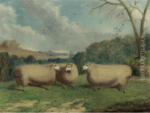 Mr. Henry J. Hopkin's Prize 
Sheep, Winners Of The 1st & 2nd Prizes At Brockley, Smithfield Club,
 Bedford, Market Harborough, 1876 & 1877 Oil Painting - Richard Whitford