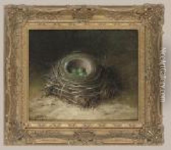 Bird's Nest With Four Eggs Oil Painting - Abel Hold