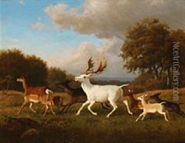 A Flock Of Game In A Forest Clearing Oil Painting - Carl Henrik Bogh