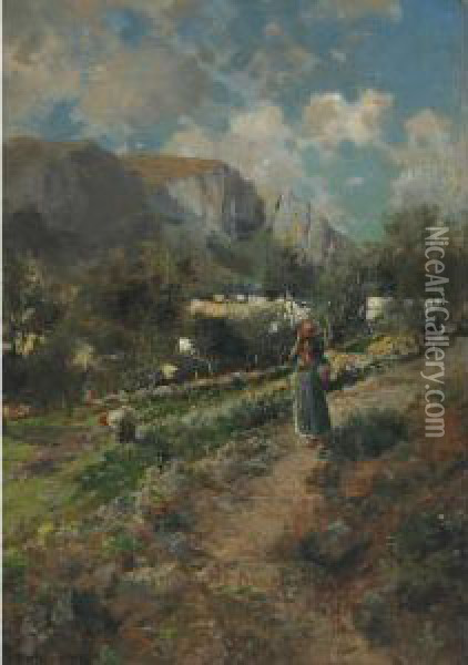 The Vineyards At Capri Oil Painting - August Lovatti