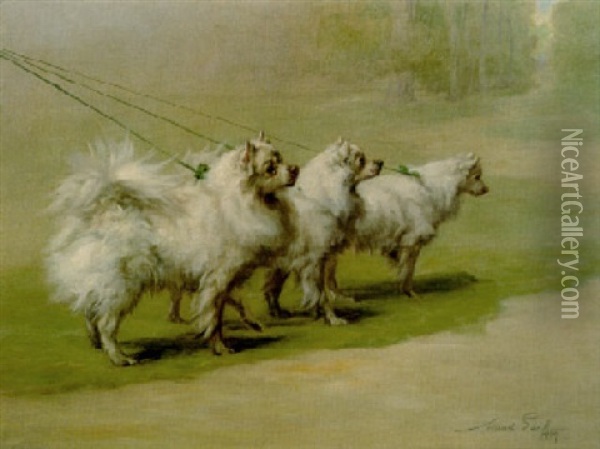 Pomeranians In The Park Oil Painting - Maud Earl