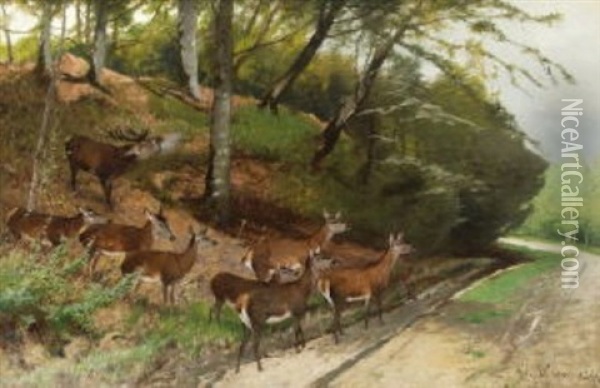 Hirsch Und Hirschkuhe An Einem Waldweg Oil Painting - Christian (Johann Christian) Kroener