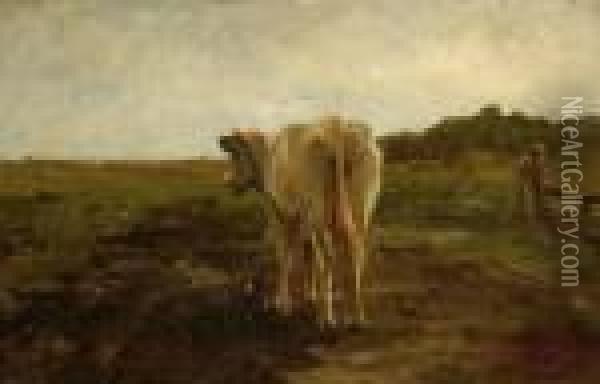 A White-brown Cow In A Landscape Oil Painting - Anton Mauve