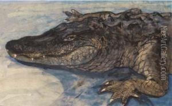 Crocodile Oil Painting - Theodorus Van Hoytema
