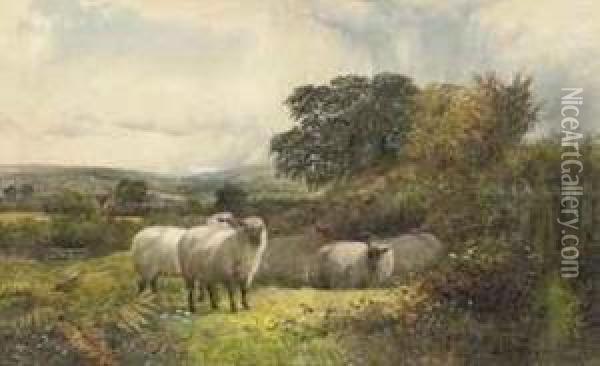 Sheep Resting In A Field On A Sunny Day Oil Painting - George Shalders