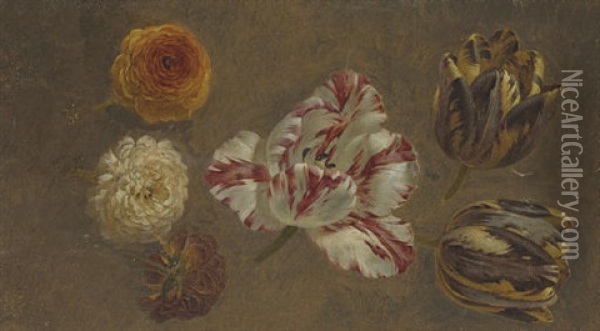 Tulips And Zinnea (study) Oil Painting - Gerard Van Spaendonck
