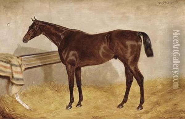 Cloister, A Bay Racehorse In A Stable Oil Painting - William Brown