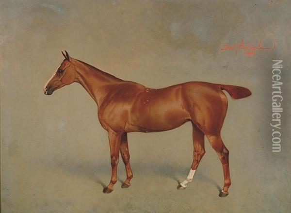 Portrait Of A Hunter Oil Painting - Basil Nightingale