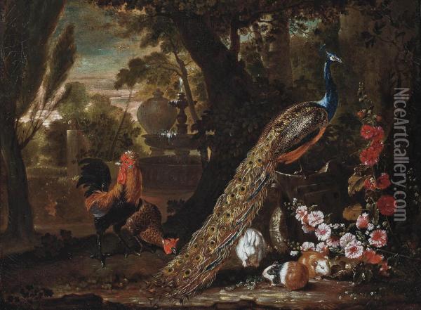 A Peacock And Cockerels, With Guinea Pigs And A Rabbit, In A Wooded Park Oil Painting - David de Coninck