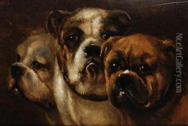Study Of Three Bulldogs Oil Painting - Joseph Edouard Stevens