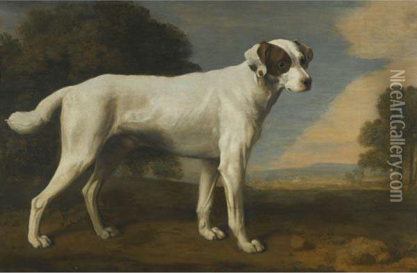 Viscount Gormanston's White Dog Oil Painting - George Stubbs