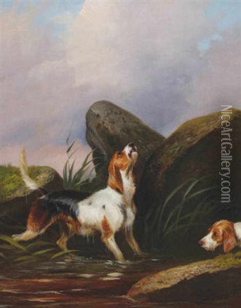 Two Dogs On The Scent Oil Painting - Colin Graeme