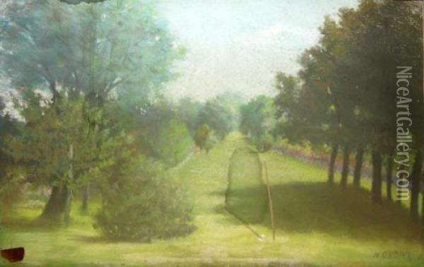Alee Intr-un Parc Oil Painting - Nicolae Gropeano