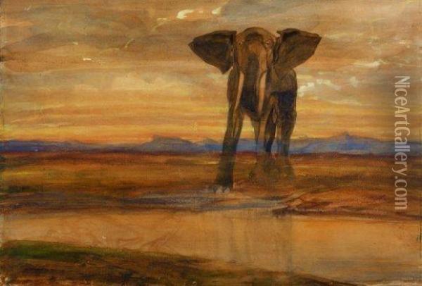  Tigre Et Elephant A La Source  Oil Painting - Alexandre Gabriel Decamps