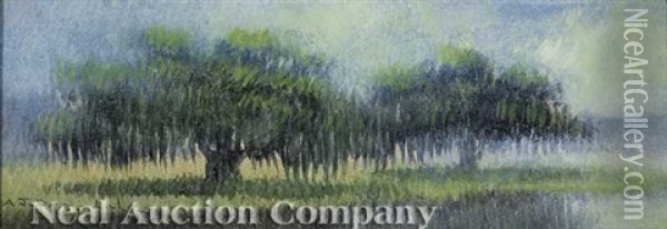 Louisiana Landscape With Live Oak Trees Oil Painting - Alexander John Drysdale