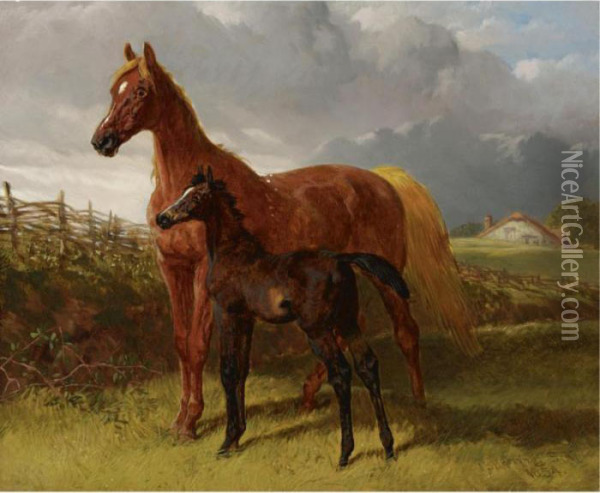 A Chestnut Mare And Foal In A Field Oil Painting - John Frederick Herring Snr