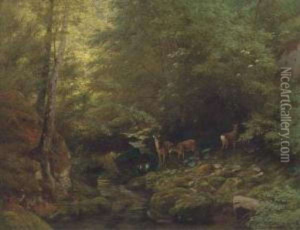 Deer In A River Landscape Oil Painting - Albert Girard