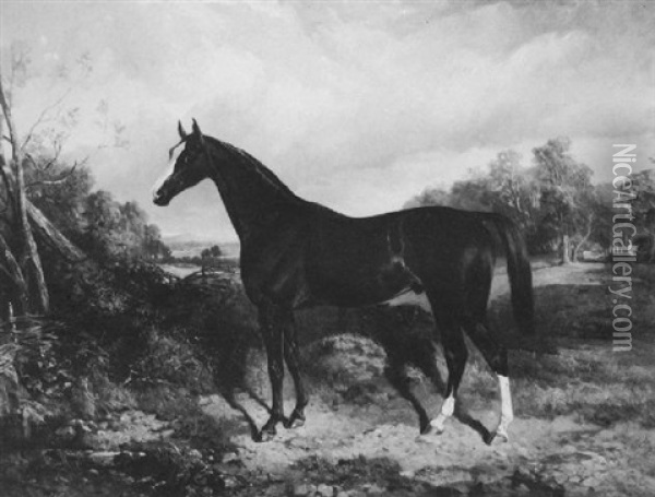 A Racehorse In A Landscape Oil Painting - George Bouverie Goddard