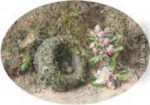 Apple Blossom And A Bird's Nest On A Mossy Bank Oil Painting - William Henry Hunt