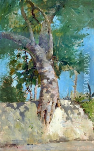 Albero Oil Painting - Vincenzo Volpe