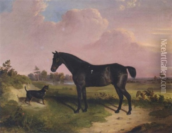 A Dark Bay Pony With A Terrier In A Landscape Oil Painting - Edward Walter Webb