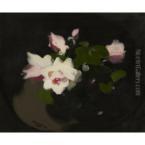 Still-life Of Roses Oil Painting - Stuart James Park