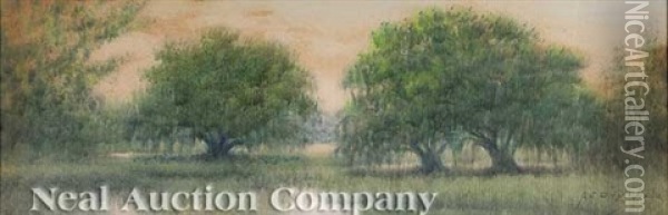 Live Oaks On The Bayou Oil Painting - Alexander John Drysdale