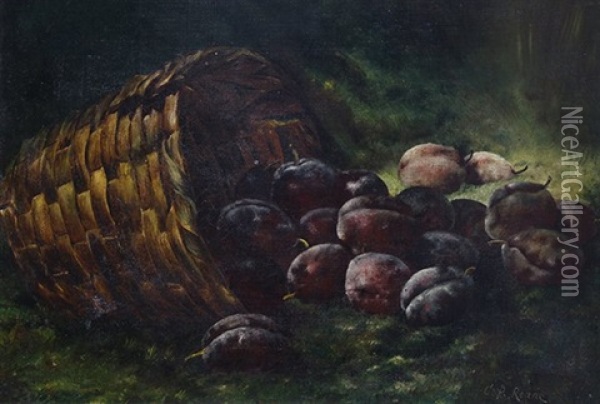 Still Life With Plums And Basket Oil Painting - Carducius Plantagenet Ream