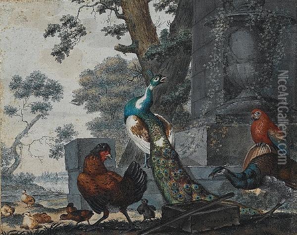 A Peacock And A Peahen With A Parrot And A Cockerel In A Park Landscape Oil Painting - Jabez Heenck