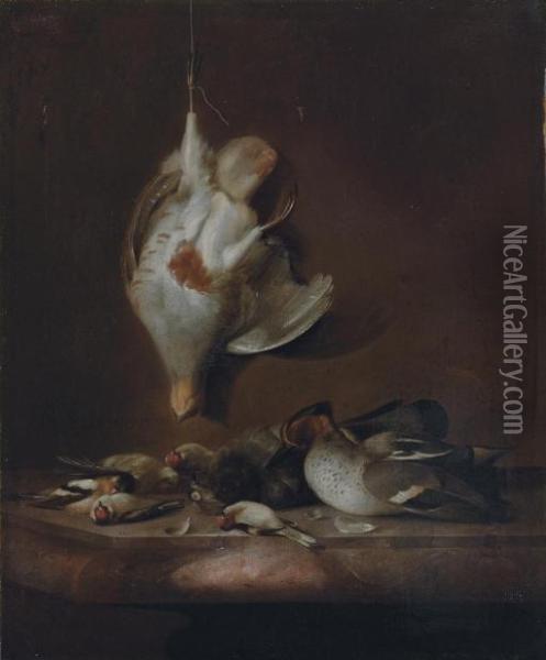 A Still Life With A Partridge 
Hanging On A Wall, And A Teal, A Yellowhammer, Finches And Other Birds 
On A Marble Ledge Oil Painting - Barend or Bernardus van der Meer