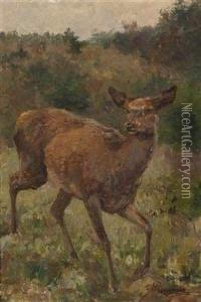 Red Deer Oil Painting - Franz Xavier Von Pausinger