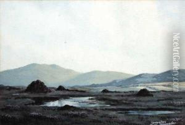 Bogland, Connemara Oil Painting - Douglas Alexander