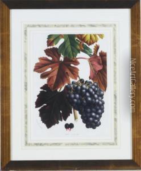 [grapes]: Five Plates Oil Painting - Horto Van Houtteano