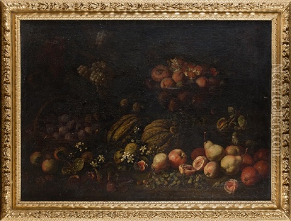 Nature Morte Aux Fruits: Raisin, Grenade, Melons, Poires, Pommes, Figues, Noisettes Oil Painting - Marco Antonio Rizzi