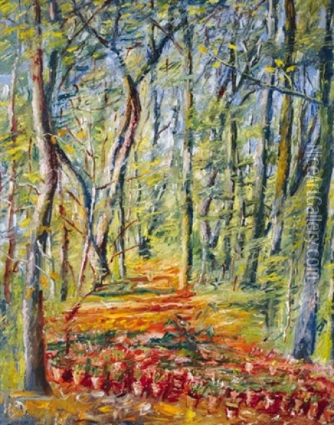 Forest Detail Oil Painting - Andor Basch