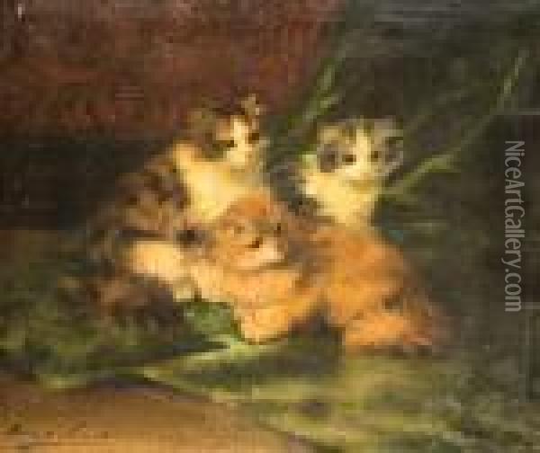 Les Trois Chatons Oil Painting - Alphonse de Neuville