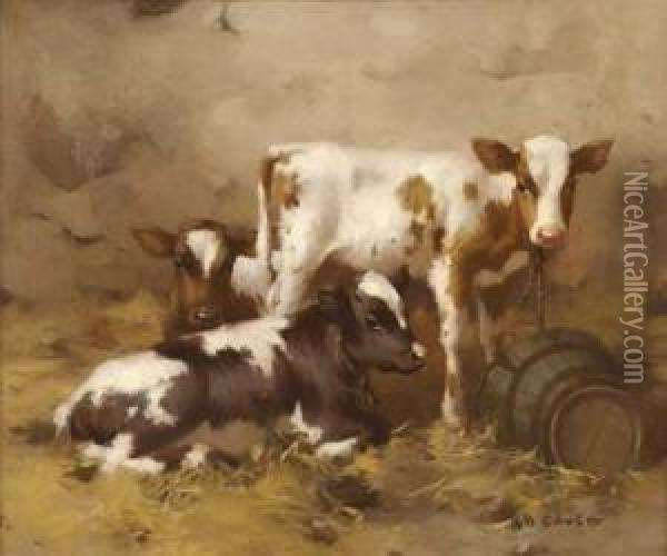 Calves In A Byre Oil Painting - David Gauld