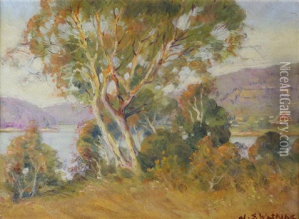 Pittwater, Nsw Oil Painting - John Samuel Watkins
